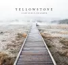 Yellowstone cover