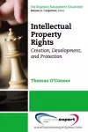 Intellectual Property in the Managerial Portfolio: Its Creation, Development, and Protection cover