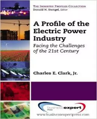 A Profile of the Electric Power Industry: Facing the Challenges of the 21st Century cover