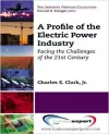 A Profile of the Electric Power Industry: Facing the Challenges of the 21st Century cover