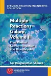 Multiple Reactions Galore, Volume II cover