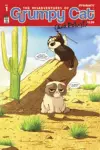 Grumpy Cat: Misadventures cover