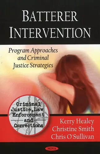 Batterer Intervention cover