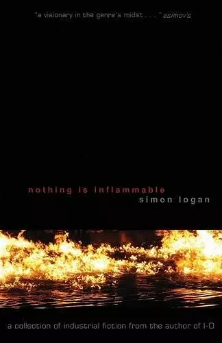 Nothing Is Inflammable cover