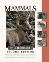 Mammals of Colorado cover