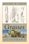 Grasses of Colorado cover