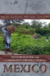 Neoliberalism and Commodity Production in Mexico cover