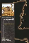 Archaeometallurgy in Mesoamerica cover