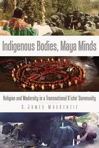 Indigenous Bodies, Maya Minds cover