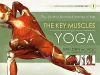 Key Muscles of Yoga: Your Guide to Functional Anatomy in Yoga cover