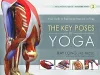 Key Poses of Yoga:  the Scientific Keys Vol 2 cover