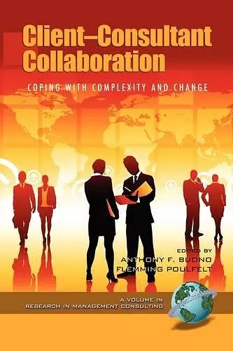 Client-consultant Collaboration: Coping with Complexity and Change cover