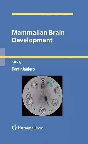 Mammalian Brain Development cover