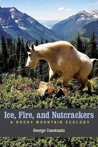 Ice, Fire, and Nutcrackers cover