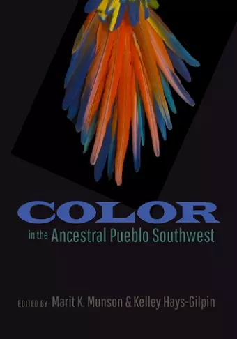 Color in the Ancestral Pueblo Southwest cover