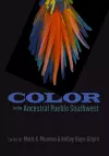 Color in the Ancestral Pueblo Southwest cover