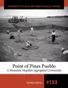 Point of Pines Pueblo cover