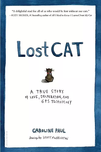 Lost Cat cover