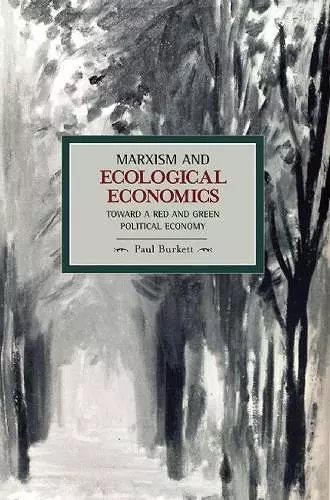 Marxism And Ecological Economics: Toward A Red And Green Poltical Economy cover