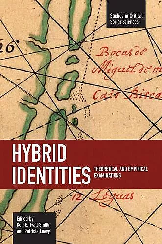 Hybrid Identities: Theoretical And Empirical Examinations cover