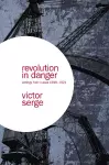 Revolution In Danger cover