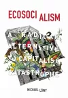 Ecosocialism cover