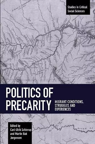 Politics Of Precarity cover