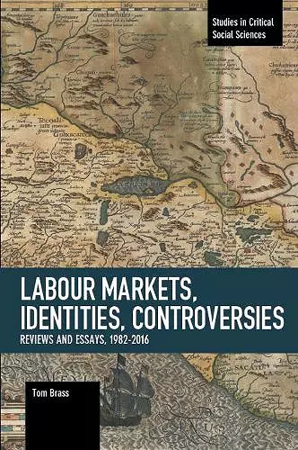 Labour Markets, Identities, Controversies cover