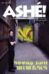 Ashe Journal #5.1 cover