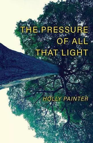 The Pressure of All That Light cover