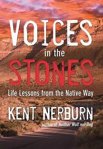 Voices in the Stones cover