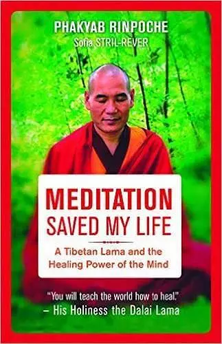 Meditation Saved My Life cover