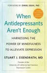 When Antidepressants Aren't Enough cover