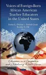 Voices of Foreign-Born African American Teacher Educators in the United States cover