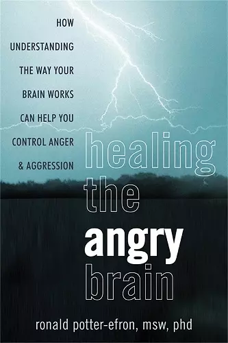 Healing the Angry Brain cover