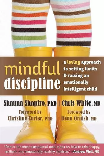 Mindful Discipline cover