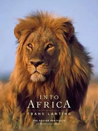 Into Africa: The Poster Portfolio cover