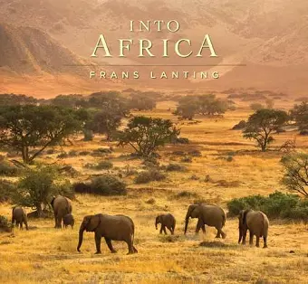 Into Africa cover