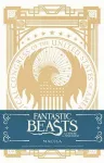 Fantastic Beasts and Where to Find them: MACUSA Hardcover Ruled Journal cover