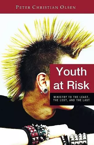 Youth at Risk cover