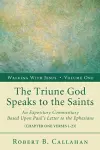 The Triune God Speaks to the Saints cover