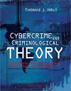 Cybercrime and Criminological Theory cover