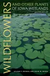 Wildflowers and Other Plants of Iowa Wetlands cover