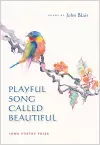 Playful Song Called Beautiful cover