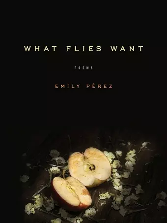 What Flies Want cover