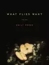 What Flies Want cover