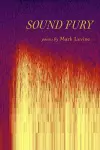 Sound Fury cover