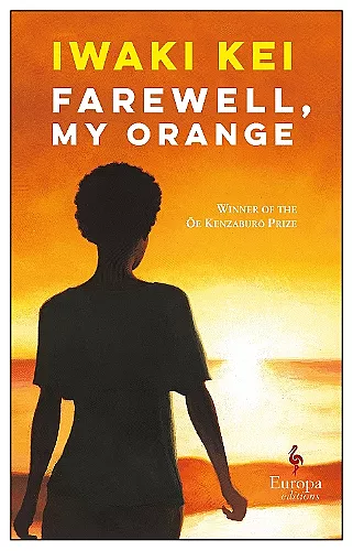 Farewell, My Orange cover