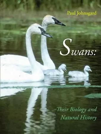 Swans cover