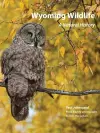 Wyoming Wildlife cover